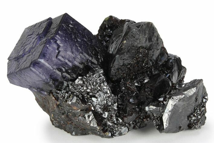 Purple Cubic Fluorite Crystal on Sphalerite - Elmwood Mine #244243